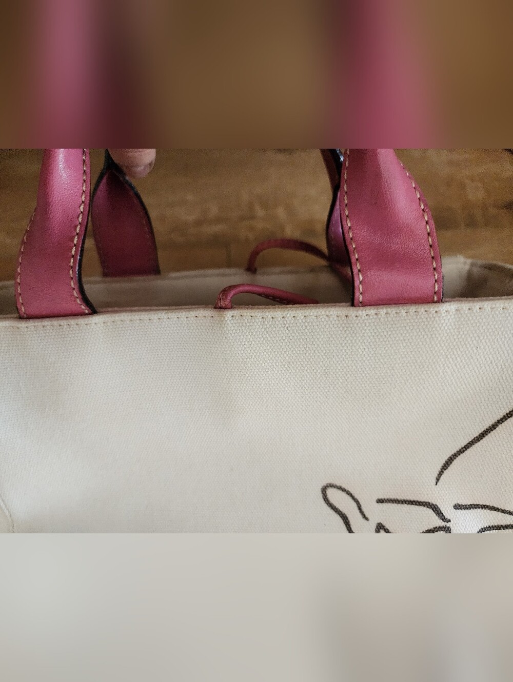 $240 Kate Spade x Maira Kalman Limited Ed Canvas & Leather Dog Walking Tote FLAW - Picture 12 of 16